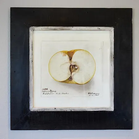 Mit Seesicht Grimmershoernbucht Апартаменты Куксхафен