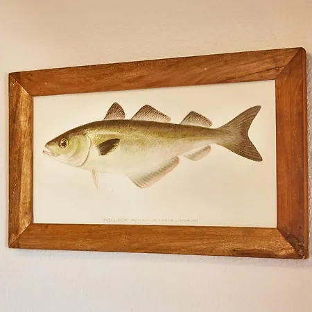 Mit Seesicht Grimmershoernbucht Куксхафен